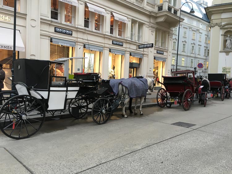 Our Mini Guide to Vienna, Austria – WhodoIdo: With Vienna being only two hours away from the UK, it's a hop, skip and a jump...perfect for a mini break