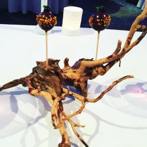 Chocolate lollipops