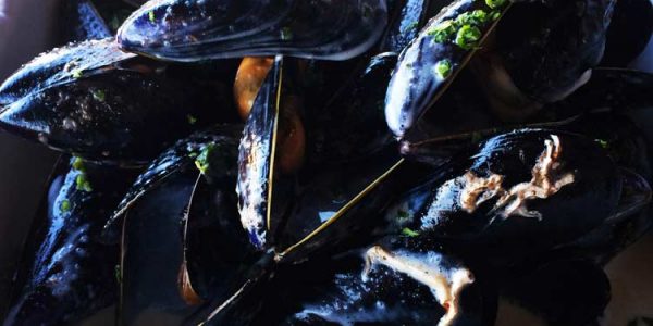 Mussels in white wine cream and sage