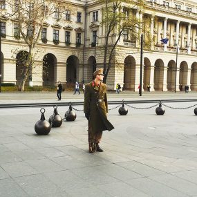 Guard standing outside the Hungarian Parliament