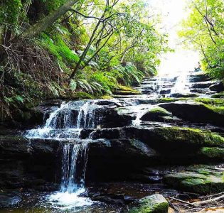 Leura Cascades