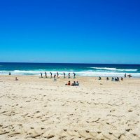 Surfing lessons on the beach