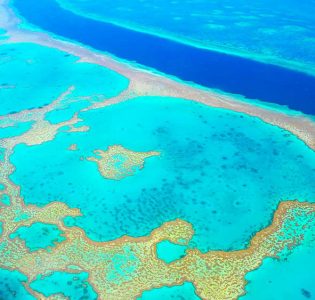 The Great Barrier Reef