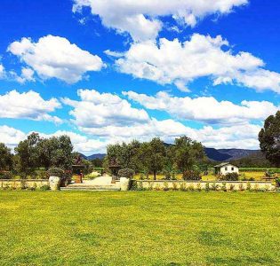 View from the restaurant at Margan Winery