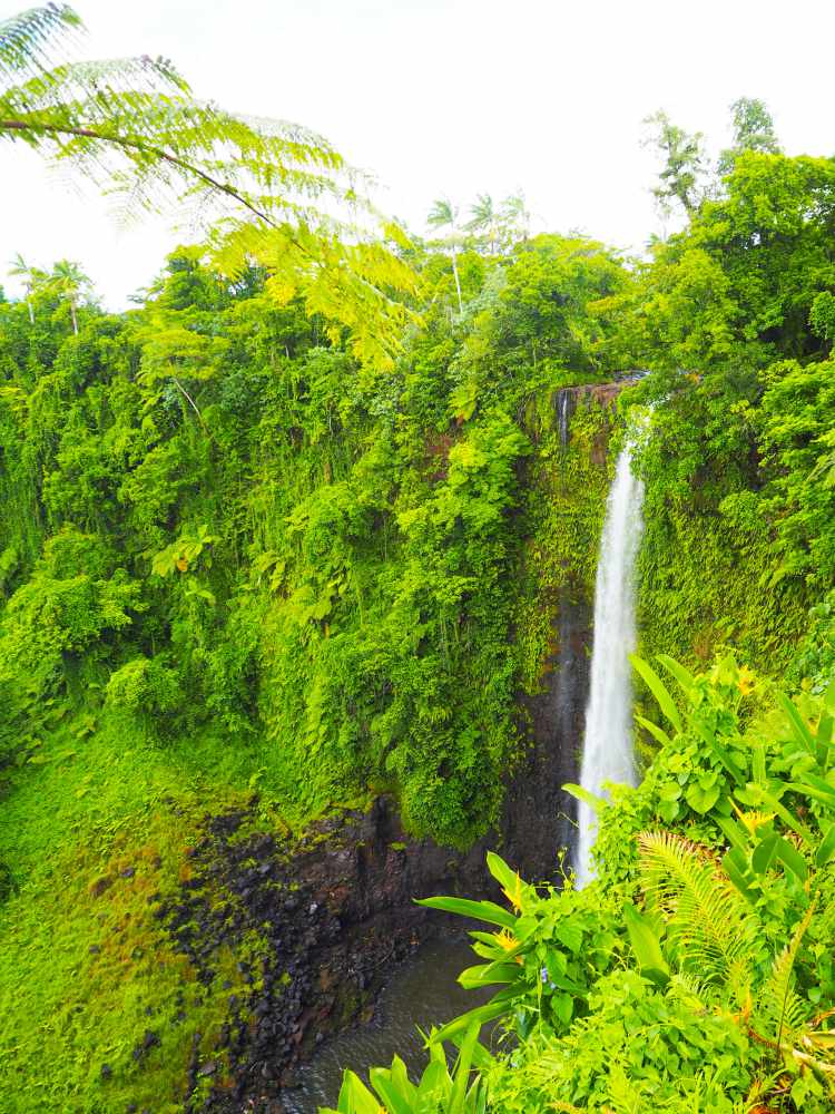 Best things to see in Samoa. Samoa is located in the Polynesian islands. Hire a car and visit Waterfalls, To-Sua Ocean Trench, Vavau, Piula Cave Pool and catch a boat to Namua Island.