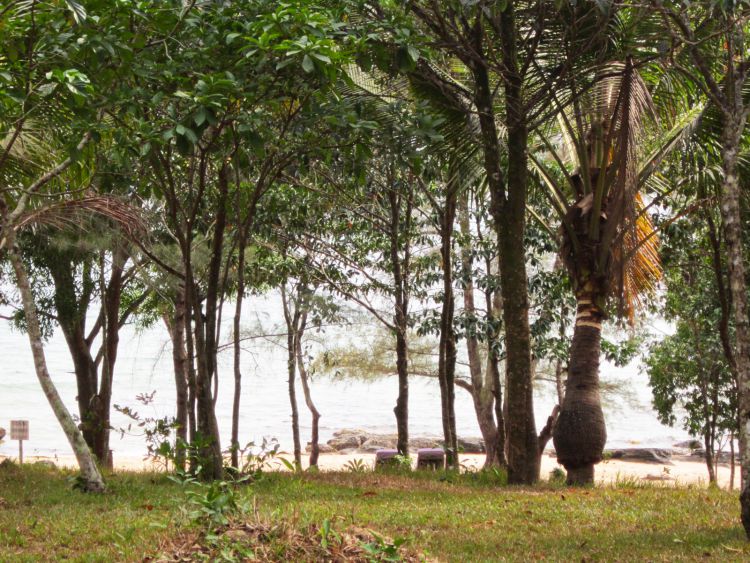 Mango Bay Resort, Phu Quoc, Vietnam – WhodoIdo: Mango Bay Resort is an eco-friendly resort located on Phu Quoc. Bungalows are scattered along the private beach with stunning views of the sea or garden.