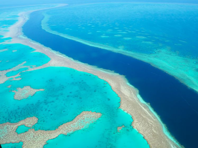 Scenic Flight Over The Great Barrier Reef & Whitsunday Islands ⋆ Who do ...