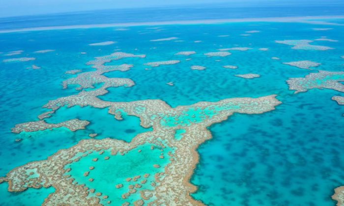 A scenic flight over the Great Barrier Reef & Whitsunday Islands – WhodoIdo: Enjoy spectacular bird’s eye views of the world’s largest coral reef and the Whitsunday islands, including the iconic Whitehaven beach.