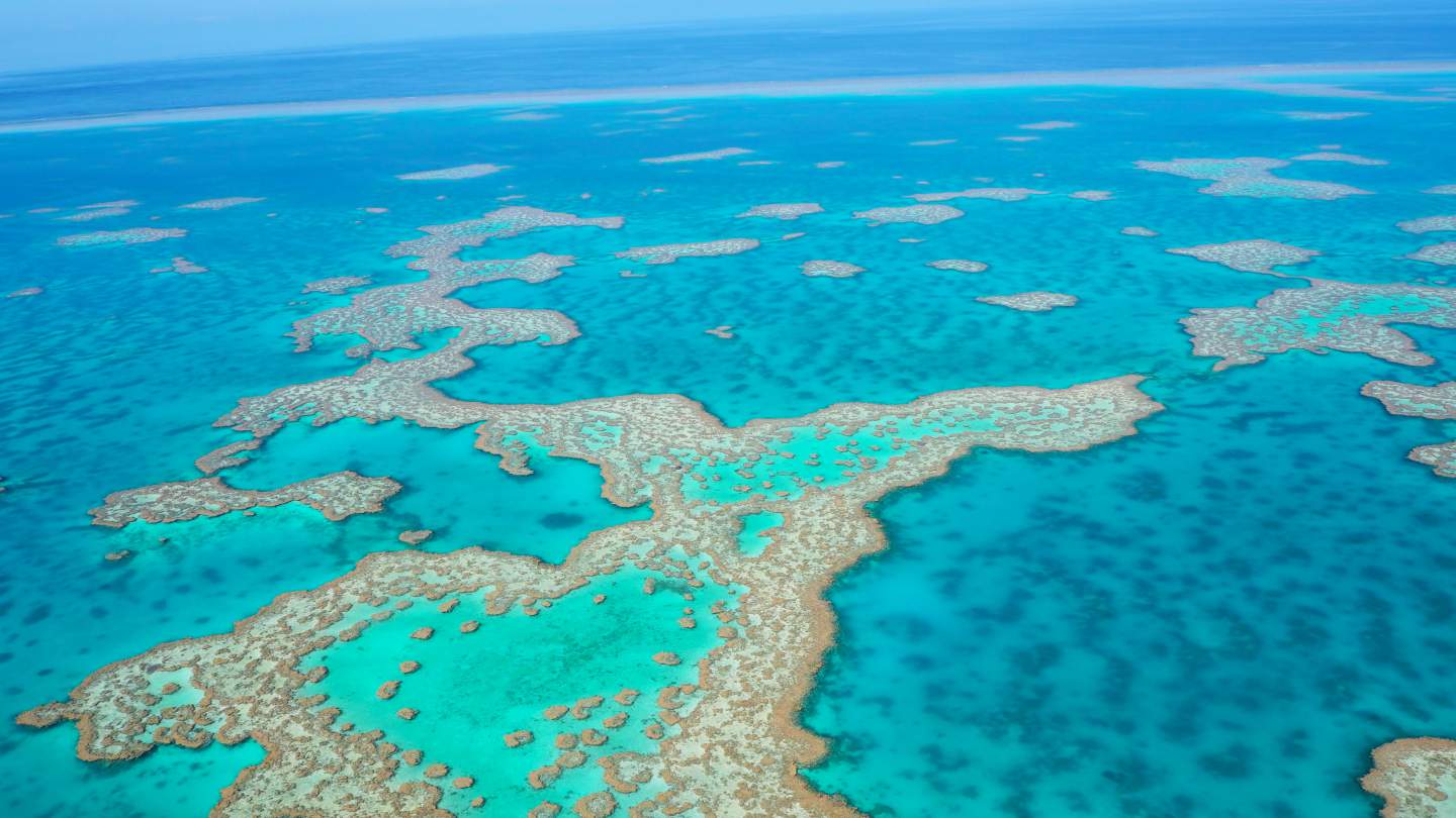 A scenic flight over the Great Barrier Reef & Whitsunday Islands – WhodoIdo: Enjoy spectacular bird’s eye views of the world’s largest coral reef and the Whitsunday islands, including the iconic Whitehaven beach.