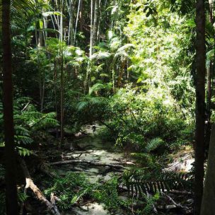 Wanggoolba Creek