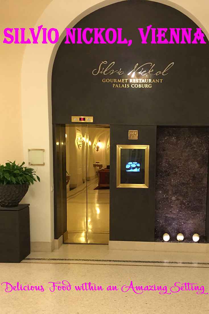 Two Michelin Star Silvio Nickol, Vienna – WhodoIdo: If you're looking for extravagance and two Michelin Star dining, then look no further! The exceptional service and the relaxing ambience makes this perfect for a romantic dinner or for that special occasion.