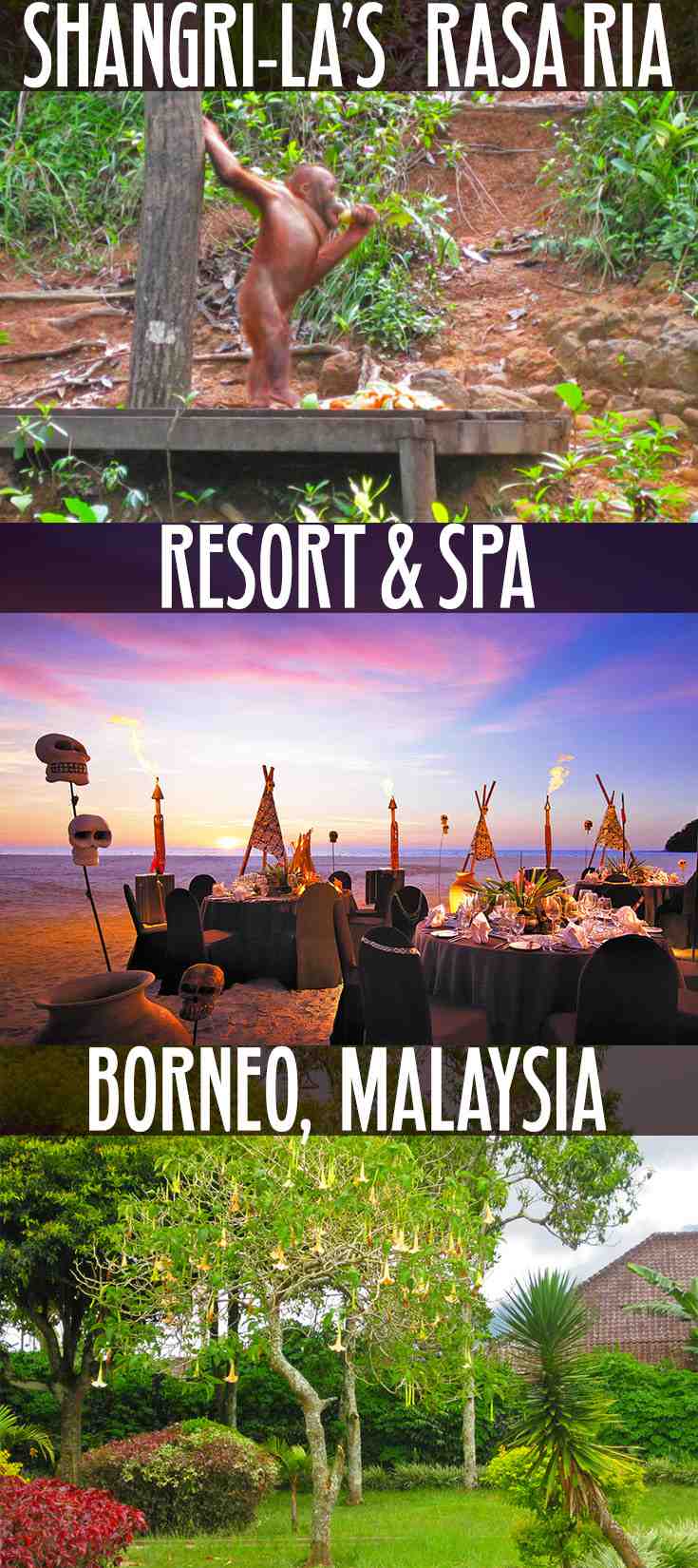 Shangri-La’s Rasa Ria Resort & Spa, Malaysia – WhodoIdo: A beautiful luxury 5 star hotel located amidst 400 acres of tropical rainforest with views of the secluded Pantai Dalit beach. There’s 5 restaurants and 2 bars on site. Why not explore the Nature Reserve, walk along the tree top canopy or arrange a champagne breakfast with views of Mount Kinabalu!