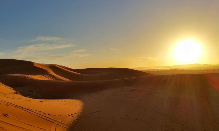 A 3 day adventure to the Sahara Desert – WhodoIdo: Ever dreamed about camping overnight in the Sahara Desert? Then take this 3 day/2 night Sahara tour from Marrakech, Morocco and visit Ait-Bennhaddou, Todra Valley, Todra Gorge, Valley of the Roses and the Erg Chebbi dunes in the Sahara Desert!