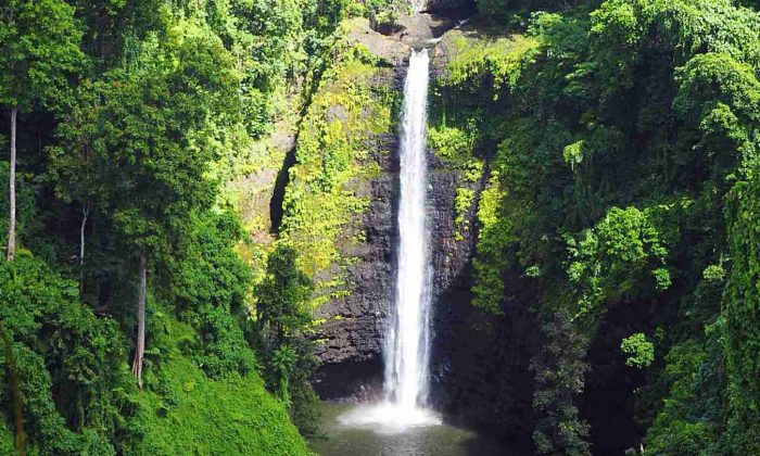 Chasing Waterfalls on Upolu Island, Samoa – WhodoIdo: Upolu is made up of lush green rainforests, beaches, lagoons and waterfalls. Walk through the tropical gardens and be mesmerised by the spectacular waterfalls. Check out the beautiful waterfalls we discovered on Upolu!