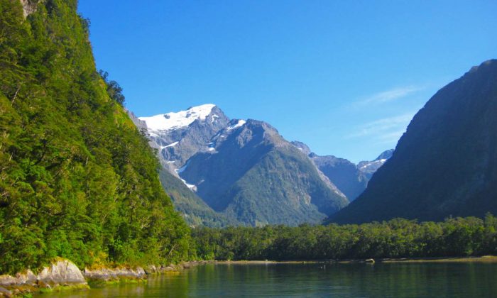 21 photos to inspire you to visit New Zealand’s South Island – WhodoIdo: Discover the beautiful landscape of New Zealand’s South Island. Explore the breath taking mountain views, fiords, glaciers, lakes and wildlife. Don’t forget to visit the wineries and sample the famous pinot noir!