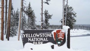 Snowmobiling in Yellowstone National Park – Old Faithful Tour – WhodoIdo: Try snowmobiling through Yellowstone Park and discover the beautiful scenery, colourful hot springs and the shooting geysers. The park is also home to the famous wildlife, such as bison, elk and the grizzly bears. Definitely a memorable and unique experience!