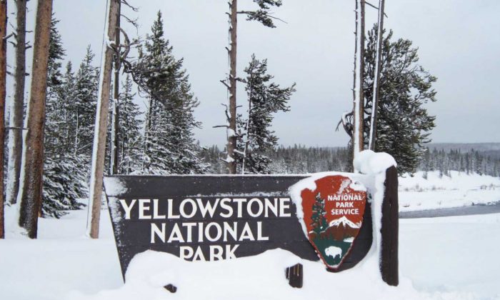 Snowmobiling in Yellowstone National Park – Old Faithful Tour – WhodoIdo: Try snowmobiling through Yellowstone Park and discover the beautiful scenery, colourful hot springs and the shooting geysers. The park is also home to the famous wildlife, such as bison, elk and the grizzly bears. Definitely a memorable and unique experience!