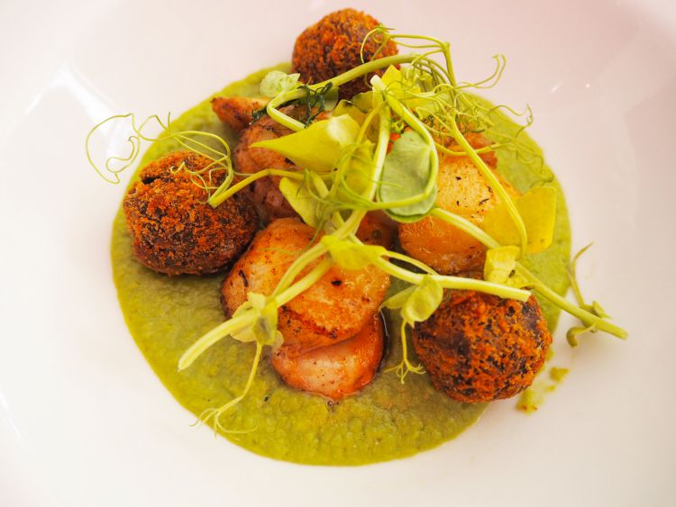 Camping in Ilfracombe– 14 Top Things to do in this seaside town in North Devon, UK – WhodoIdo: Considering camping in the UK? Head to the lovely seaside resort of Ilfracombe, situated in North Devon. Ilfracombe offers numerous activities from boat trips to Lundy Island to beautiful coastal walks to Woolacombe. We’ll share with you the best cool campsite to stay, best places to eat and top things to do in Ilfracombe.