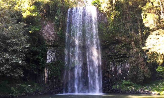 10 of the best waterfalls to visit on the Atherton Tablelands, North Queensland, Australia - WhodoIdo: Follow our self-drive tour of the waterfall circuit to see our top waterfalls in the Atherton Tablelands. Take in the views from the pretty Mungalli Cascades to dipping your toes in the swimming hole at Millaa Millaa Falls.