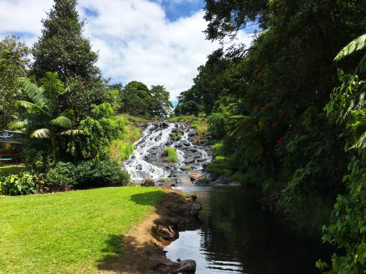10 of the best waterfalls to visit on the Atherton Tablelands, North Queensland, Australia - WhodoIdo: Follow our self-drive tour of the waterfall circuit to see our top waterfalls in the Atherton Tablelands. Take in the views from the pretty Mungalli Cascades to dipping your toes in the swimming hole at Millaa Millaa Falls.